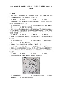 2025年湖南省普通高中学业水平合格性考试模拟（四）历史试题（解析版）