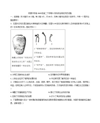 四川省成都市树德中学2024-2025学年高二下学期5月阶段性测试历史试题（含答案）