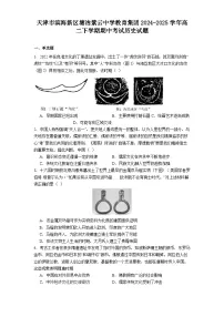 天津市滨海新区塘沽紫云中学教育集团2024-2025学年高二下学期期中考试历史试题（解析版）