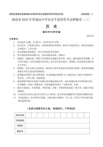 2025届湖南省长沙市中嘉高级中学高三下学期押题（三）历史试卷（高考模拟）