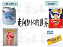 人民版必修2走向整体的世界说课ppt课件