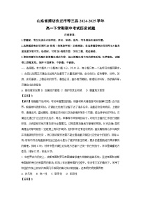 山东省潍坊安丘市等三县2024-2025学年高一下学期期中考试历史试卷（解析版）