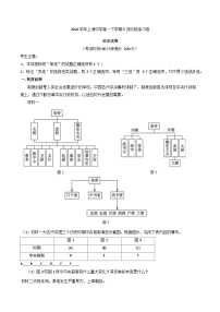 上海市上海中学2024-2025学年高一下学期5月月考历史试题（含答案）
