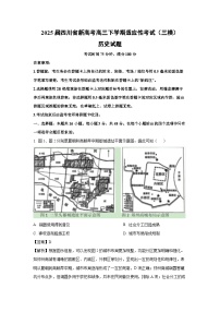 2025届四川省新高考高三下学期适应性考试（三模）历史试卷（解析版）