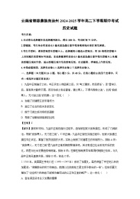 云南省楚雄彝族自治州2024-2025学年高二下学期期中考试历史试卷（解析版）