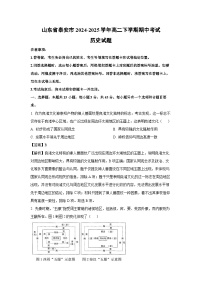 山东省泰安市2024-2025学年高二下学期期中考试历史试卷（解析版）