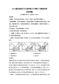 2025届江西省百万大联考高三下学期5月模拟考试历史试卷（解析版）