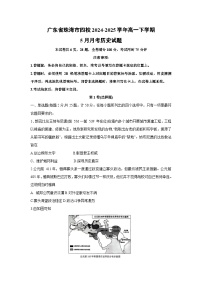 广东省珠海市四校2024-2025学年高一下学期下5月月考历史试卷（解析版）