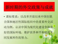 高中历史人民版必修1三：新时期的外交政策与成备课课件ppt