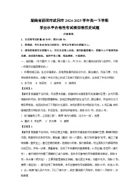 历史：湖南省邵阳市武冈市2024-2025学年高一下学期学业水平合格性考试模拟卷试题（解析版）