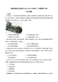 2024—2025学年度福建省厦泉五校高二第二学期期中联考考试历史试题（含答案）