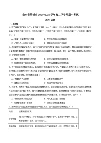 山东省聊城市2024-2025学年高二下学期期中考试历史试题（Word版附答案）