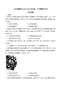 山东省潍坊市2024-2025学年高二下学期5月期中考试历史试题（Word版附答案）