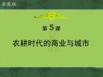 岳麓版必修2 经济成长历程农耕时代的商业与城市课文配套ppt课件