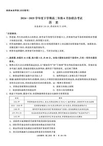 2025年点石联考高二下学期6月历史试题及答案