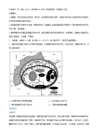 山东省济南市2022_2023学年高二历史下学期期末考试试题含解析