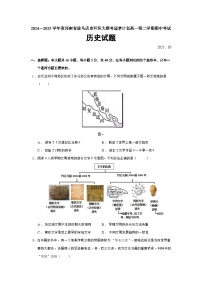 2024—2025学年度河南省驻马店市环际大联考逐梦计划高一第二学期期中考试历史试题（含答案）