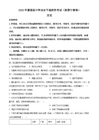 历史-陕晋青宁版2025年普通高中水平选择性考试历史试题及答案