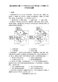 湖北省武汉市第二十中学2024-2025学年高二下学期5月月考历史试题（解析版）