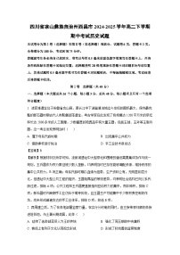 四川省凉山彝族自治州西昌市2024-2025学年高二下学期期中考试历史试卷（解析版）