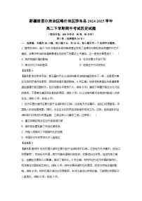 新疆维吾尔自治区喀什地区莎车县2024-2025学年高二下学期期中考试历史试卷（解析版）
