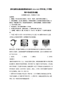 贵州省黔东南苗族侗族自治州2024-2025学年高二下学期期中考试历史试卷（解析版）