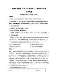 湖南省部分校2024-2025学年高二下学期期中考试历史试卷（解析版）