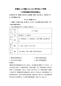 安徽省A10联盟2024-2025学年高二下学期5月学情调研考(B)历史试卷（解析版）