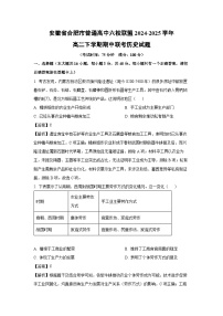 安徽省合肥市普通高中六校联盟2024-2025学年高二下学期期中联考历史试卷（解析版）