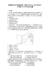 河南省驻马店市新蔡县第一高级中学2024-2025学年高一下学期6月半月考历史试题（解析版）