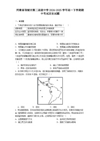 河南省项城市第三高级中学2024-2025学年高一下学期期中考试历史试题(含解析)