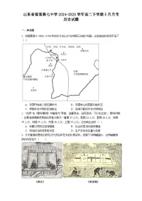 山东省淄博第七中学2024-2025学年高二下学期5月月考历史试题(含解析)