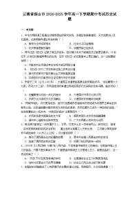 云南省保山市2024-2025学年高一下学期期中考试历史试题（含答案）