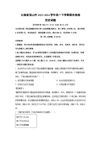 云南省保山市2023-2024学年高一下期末检测历史试卷（解析版）