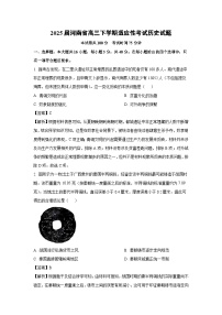 2025届河南省高三下适应性考试历史试卷(解析版)