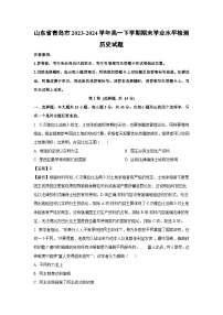 【历史】山东省青岛市2023-2024学年高一下学期期末学业水平检测试题（解析版）