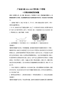 【历史】广东省六校2024-2025学年高一下学期5月联合测试试题（解析版）