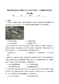 湖北省宜昌市部分省级示范高中2024-2025学年高一下学期期中考试历史试题（Word版附答案）