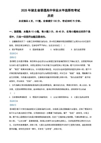 2025年湖北高考历史真题（解析版）