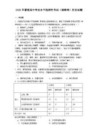 2025年普通高中学业水平选择性考试（湖南卷）历史试题（解析版）