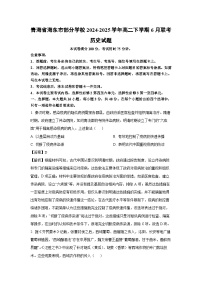 【历史】青海省海东市部分学校2024-2025学年高二下学期6月联考试题（解析版）