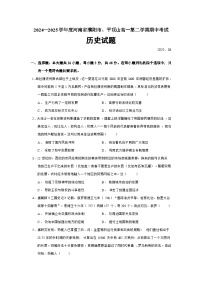 2024—2025学年度河南省濮阳市、平顶山高一第二学期期中考试历史试题（含答案）