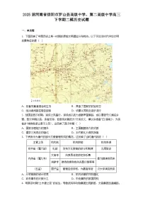 2025届河南省信阳市罗山县高级中学、第二高级中学高三下学期二模历史试题(解析版)