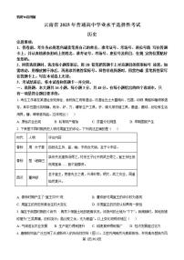 【历史 云南卷】2025年云南省高考招生统一考试真题历史试卷（含答案）