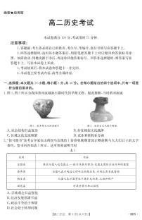 河南省2024-2025学年高二下学期6月百万大联考历史试题（PDF版附解析）