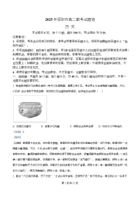 湖南省邵阳市2024-2025学年高二下学期期末考试历史试题（Word版附解析）
