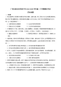 广西南宁市部分学校2024-2025学年高二下学期6月期末考试 历史 Word版含答案含答案解析