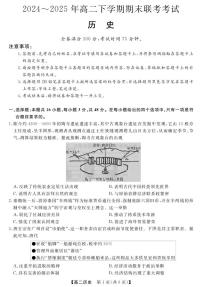 河南省金科新未来2025届新高二下学期7月期末联考-历史试题+答案