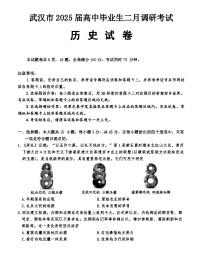 湖北省武汉市2024-2025学年高三下学期二月调研考试历史试卷（含答案）