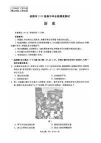 四川省成都市2026届高三上学期摸底测试（零诊）历史试卷